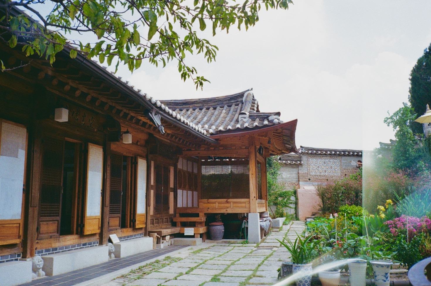 التراث العاطفي المغربي: بين الماضي والمستقبل